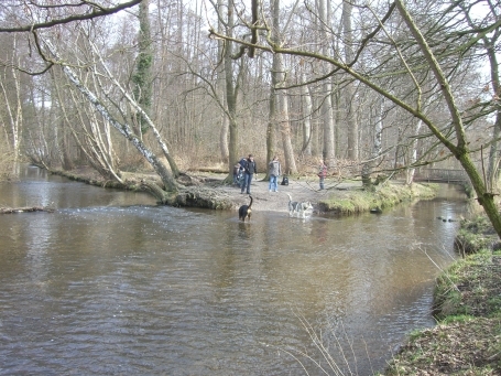Lüttelforst : Zusammenfluss von Schwalm und Liplakenbach. Im Hintergrund rechts im Bild, die Holzbrücke über den Liplakenbach.